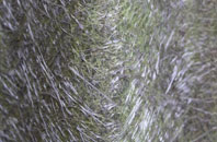 Little Bolton fibreglass roof work